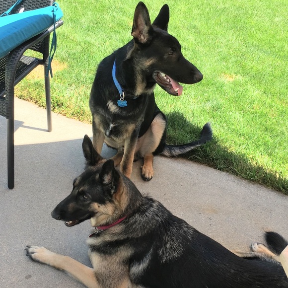 Meet your Posher, Georgia - Picture 2 of 8